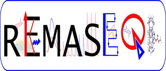 REMASEQ Logo